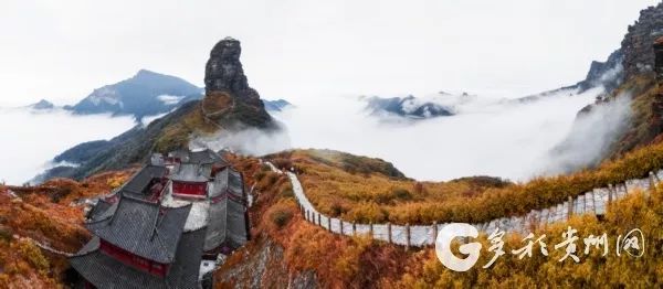 湖南对医护人员免费开放的景点,湖南医务人员免费旅游景点大全
