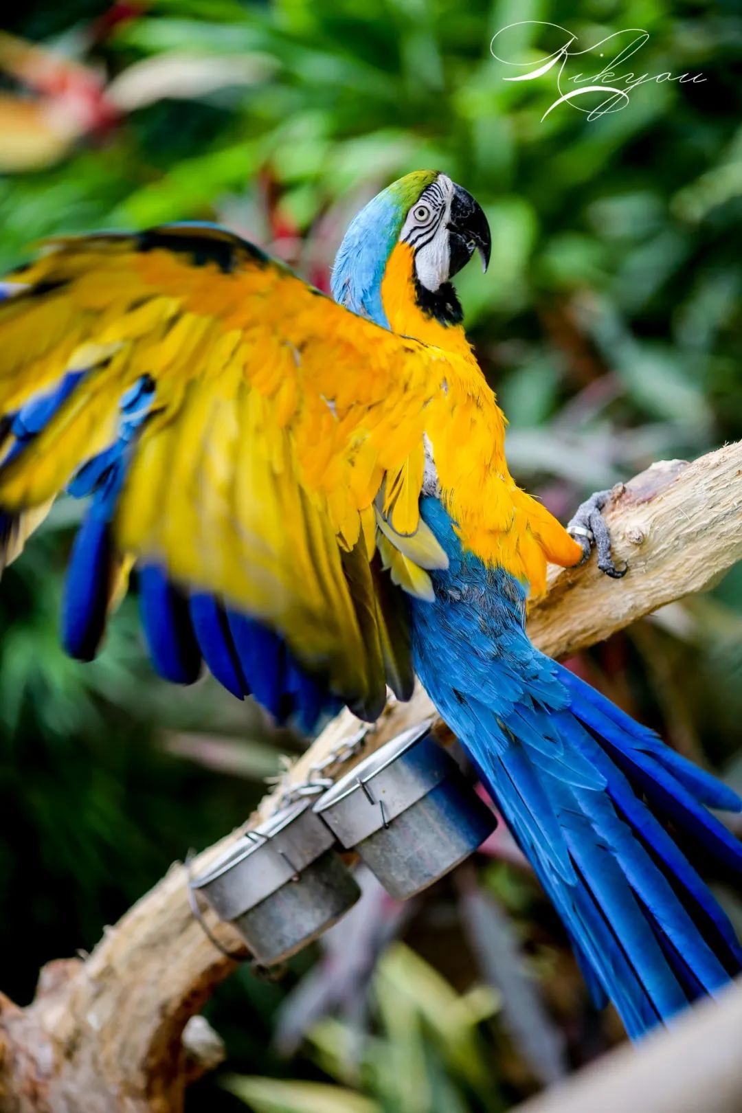 爱改装的车主眼中汉兰达咋样？除了油耗高、推背感肉外，不偷工减料、舒适度高能不能加分？