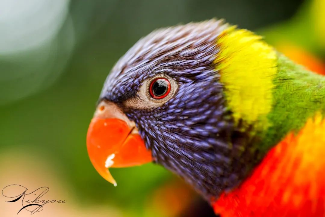 爱改装的车主眼中汉兰达咋样？除了油耗高、推背感肉外，不偷工减料、舒适度高能不能加分？