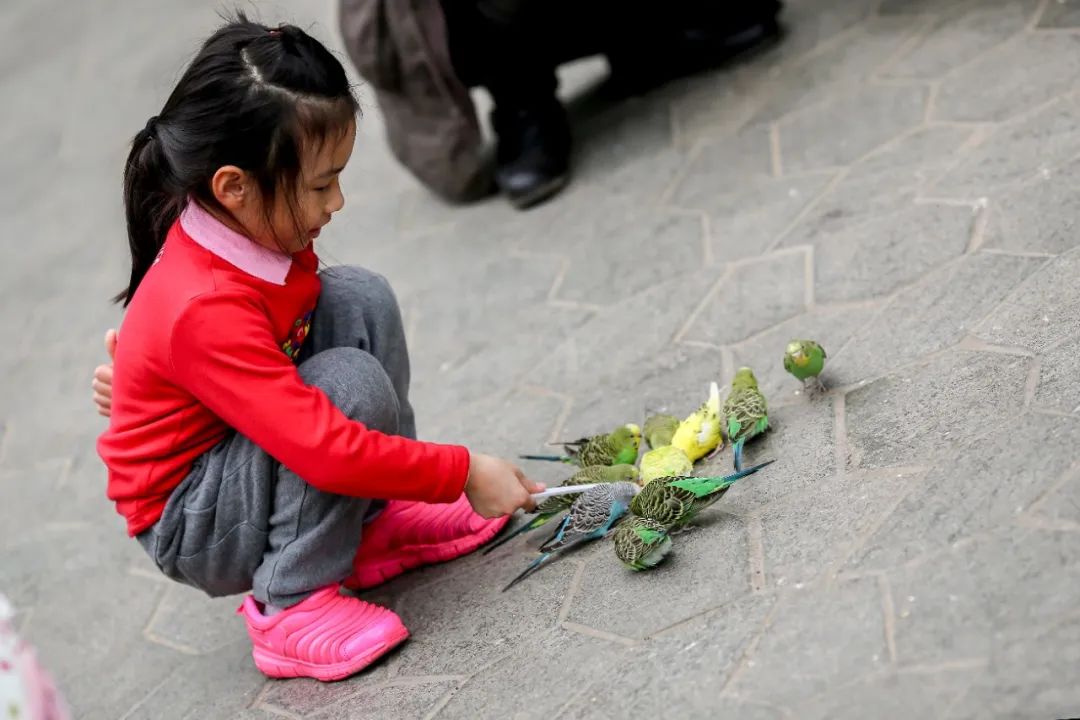 爱改装的车主眼中汉兰达咋样？除了油耗高、推背感肉外，不偷工减料、舒适度高能不能加分？