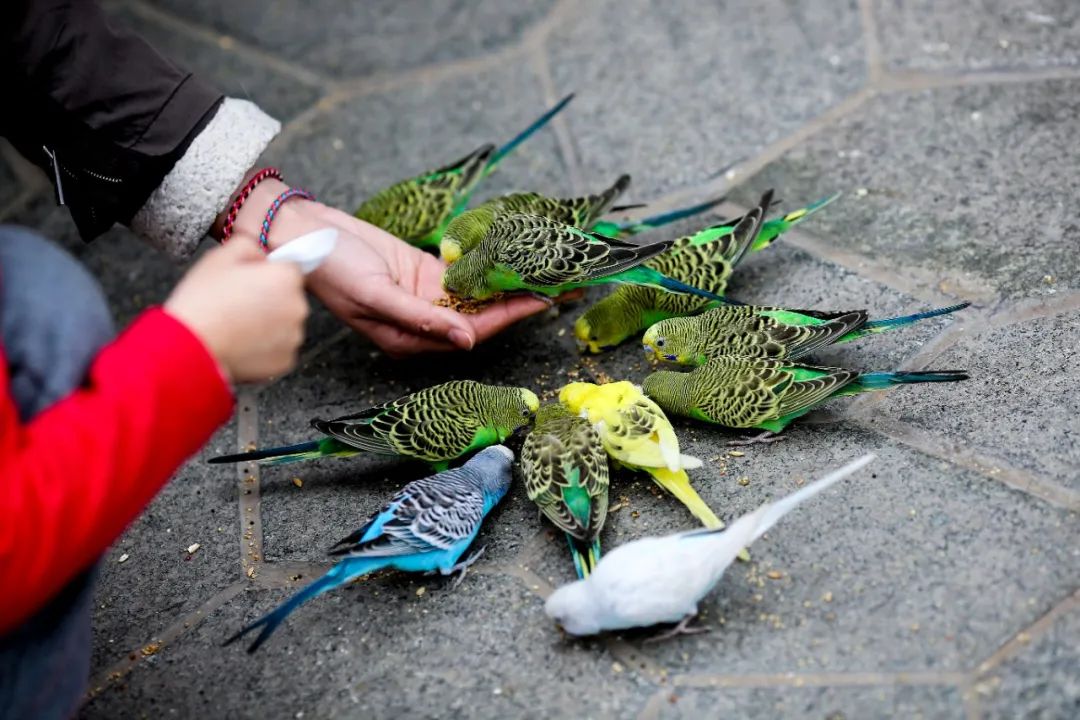 爱改装的车主眼中汉兰达咋样？除了油耗高、推背感肉外，不偷工减料、舒适度高能不能加分？