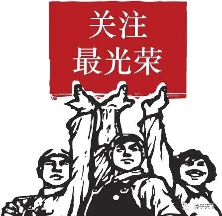 江苏玉米品种大全,2019农业部小麦品种