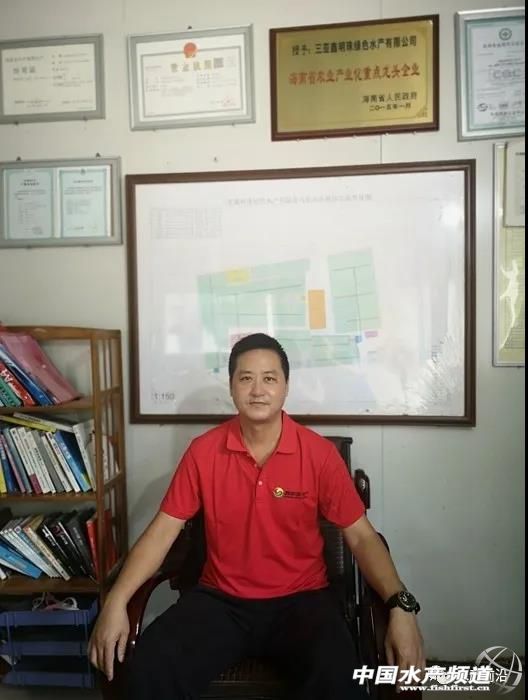 养5万只海水石斑鱼需要多少本钱,养石斑鱼的前景如何