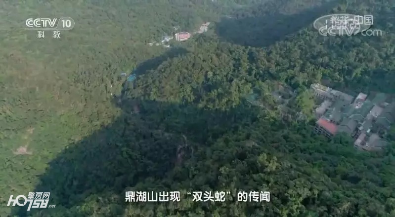鼎湖山探秘,央视地理中国探秘鱼木洞