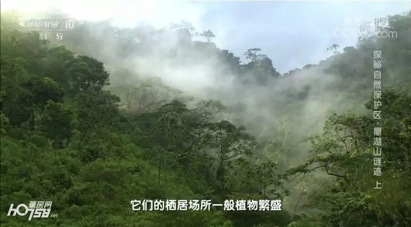 鼎湖山探秘,央视地理中国探秘鱼木洞
