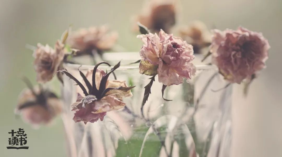 最高级的活法,最高级的活法是不合群