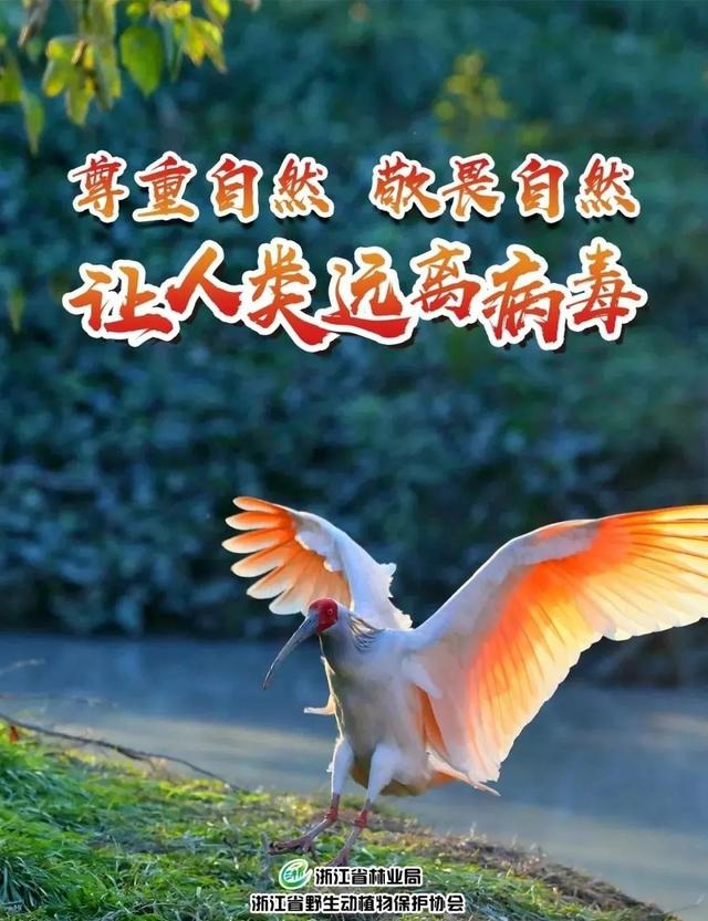 云和山什么意思,云和山是什么意思