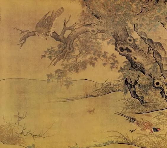 雉鸡寓意,送人雉鸡翎什么意思