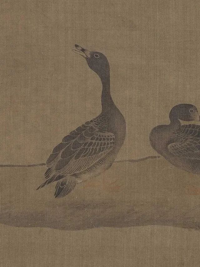 雉鸡寓意,送人雉鸡翎什么意思