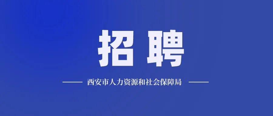 中交集团2024年招聘,西安中兴集团招聘