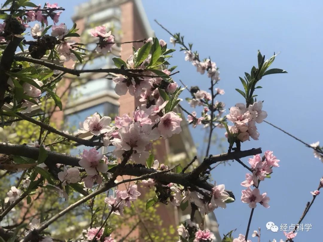 疫期宅家，高血压患者可以这样做运动