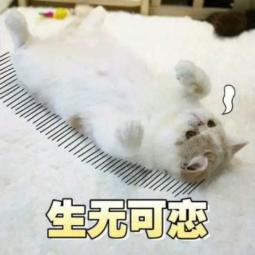 微信朋友圈38条,疫情下的38度朋友圈