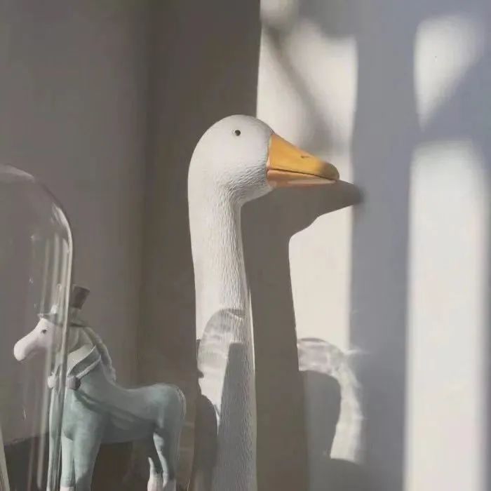 微信朋友圈38条,疫情下的38度朋友圈