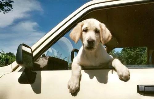 解决晕车的七个有效的小方法资讯,晕车小妙招100例