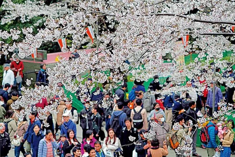 暂停日本和韩国入境有什么影响,日本韩国入境新政策