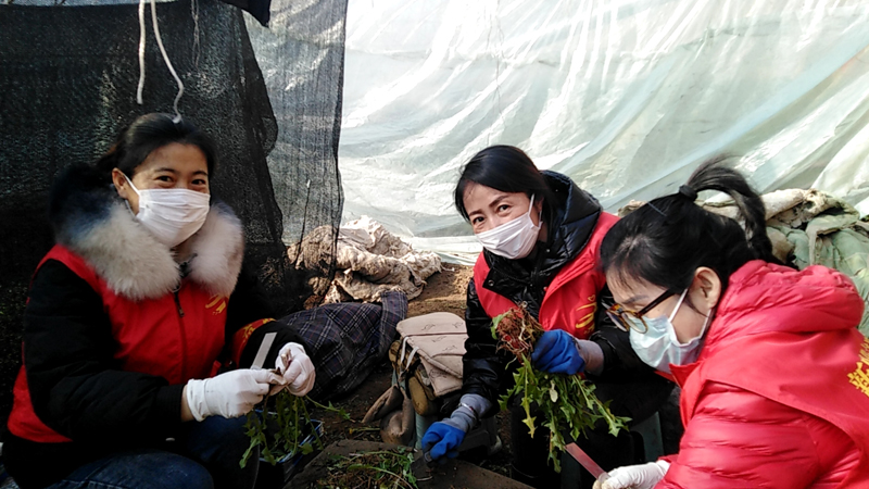 看不清你眼角是否有泪花只知道号令既出使命必达