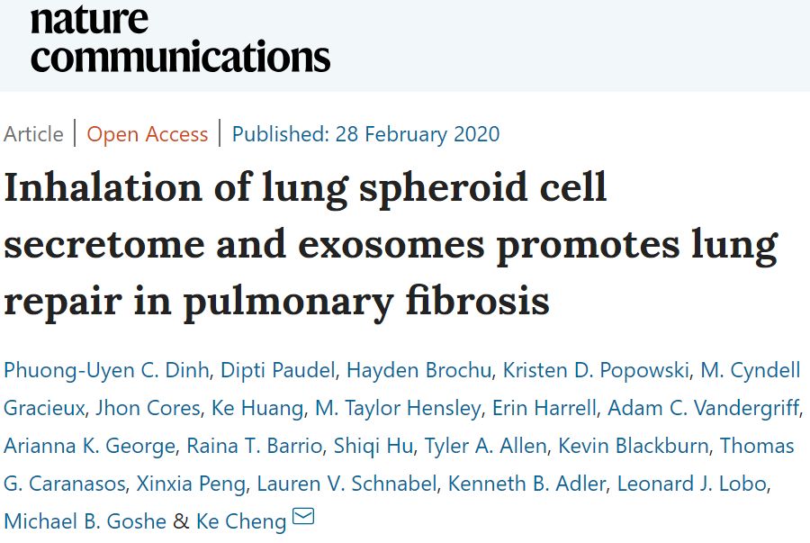 目前公认有效的抗肺纤维化,治疗肺纤维化秘方