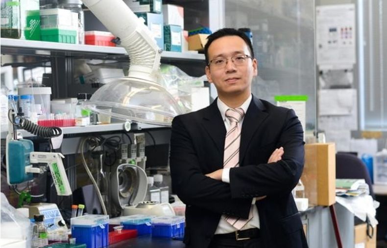 目前公认有效的抗肺纤维化,治疗肺纤维化秘方