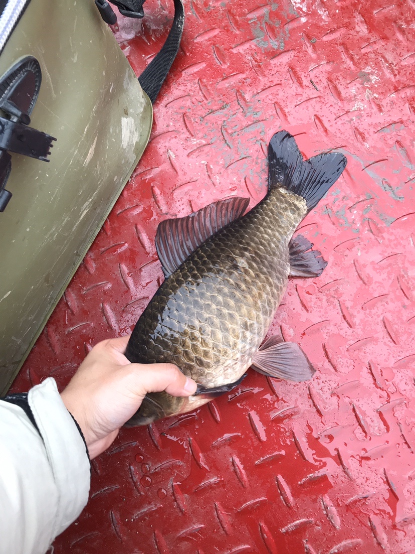 手工鱼竿维修视频教程,鱼竿轻微破损如何修复