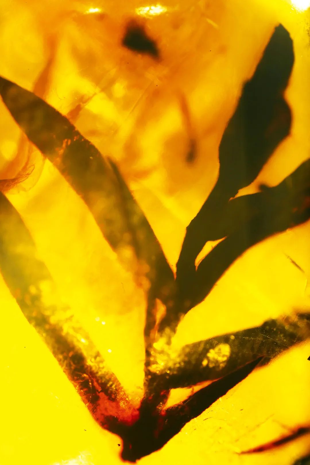 探秘废弃煤矿发现大量遗留物,60年代废弃的老煤矿