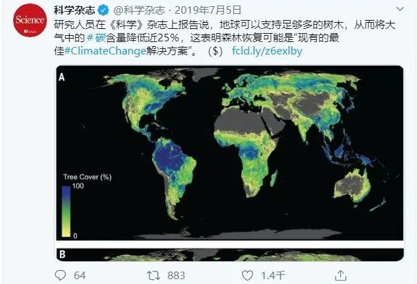 全球变暖种树有用吗,种树可以阻止全球变暖吗