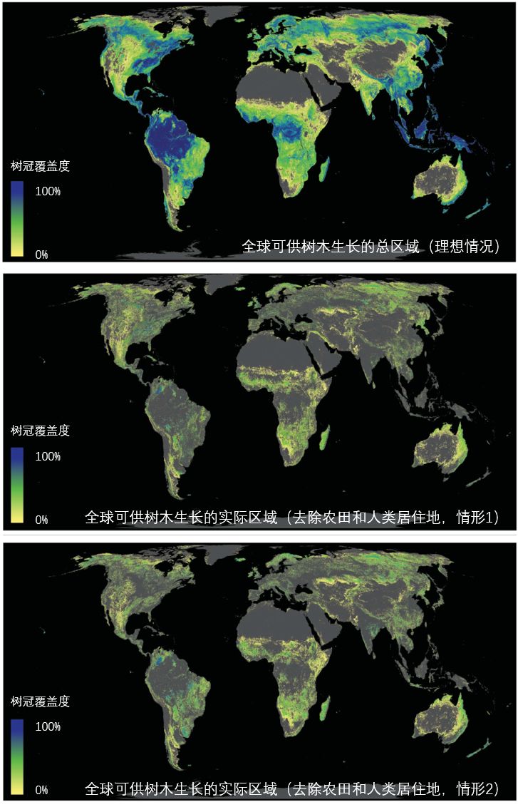 全球变暖种树有用吗,种树可以阻止全球变暖吗