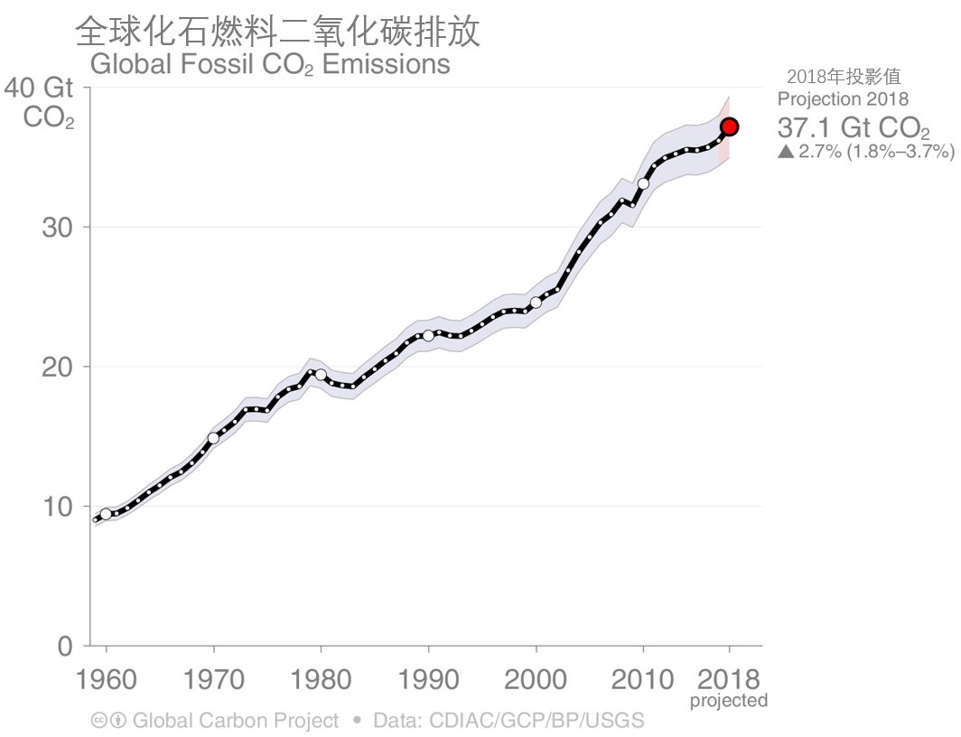 全球变暖种树有用吗,种树可以阻止全球变暖吗
