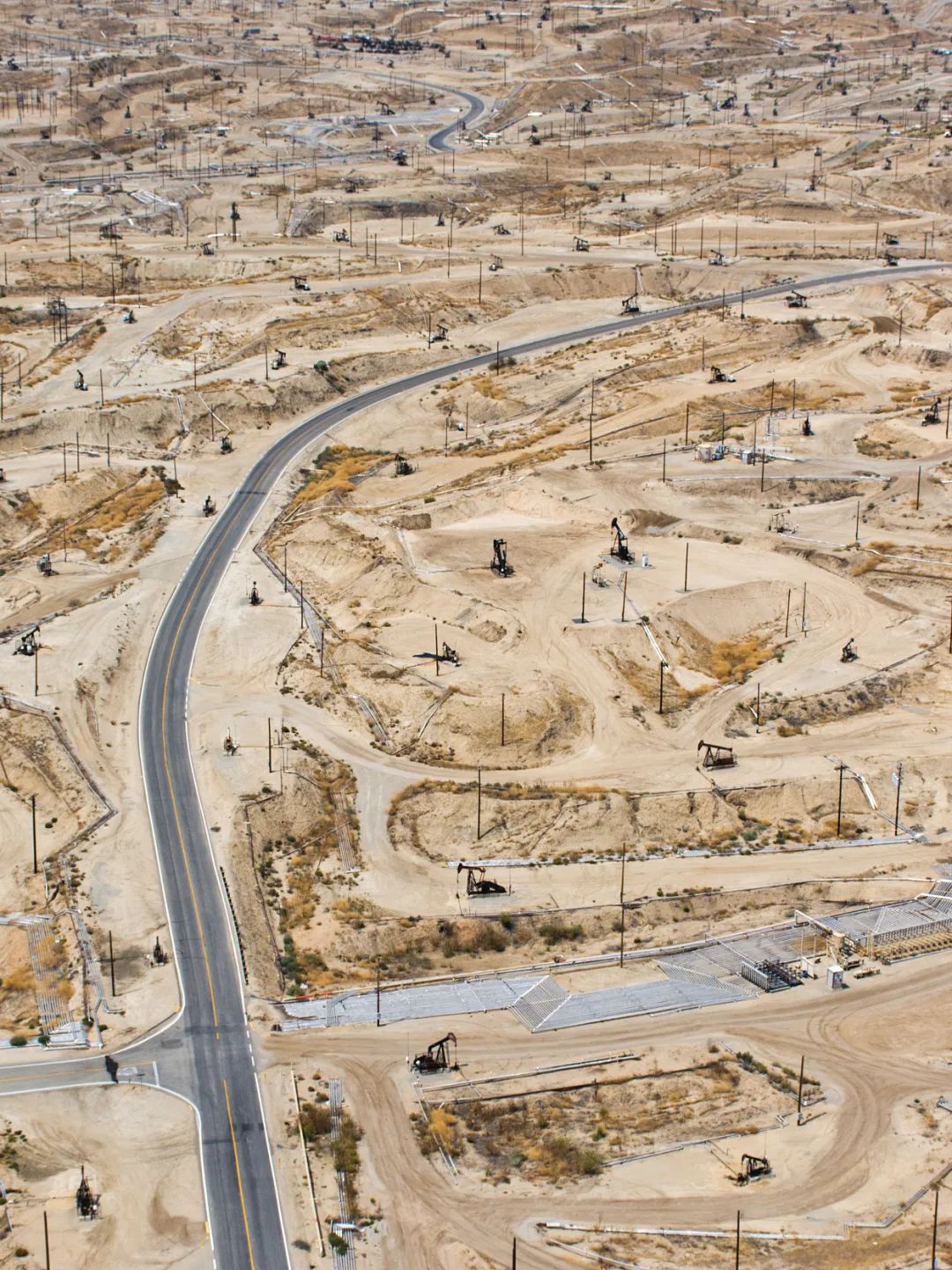 全球变暖种树有用吗,种树可以阻止全球变暖吗