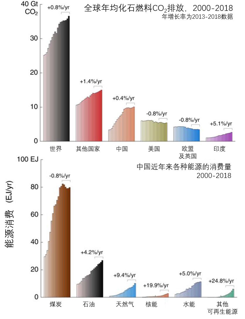 全球变暖种树有用吗,种树可以阻止全球变暖吗