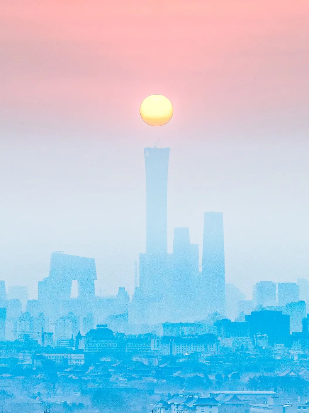 全球变暖种树有用吗,种树可以阻止全球变暖吗