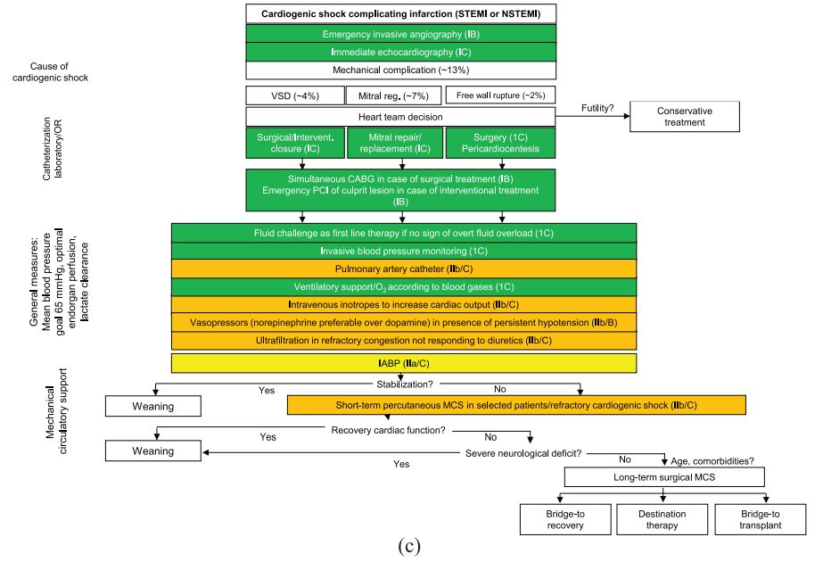 心梗引起的心源性休克,急性心梗合并心源性休克