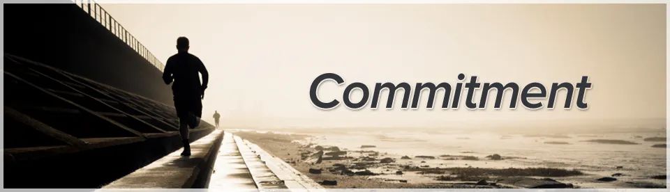 300天了，我们一起关心世界，也关心自己…|远读重洋