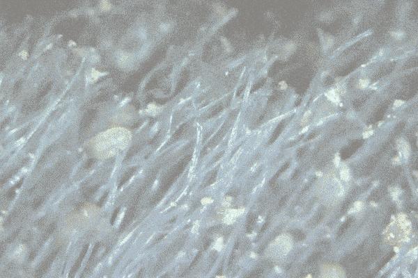 建议大家别买4种床,不管床多大床底最好别放三样东西