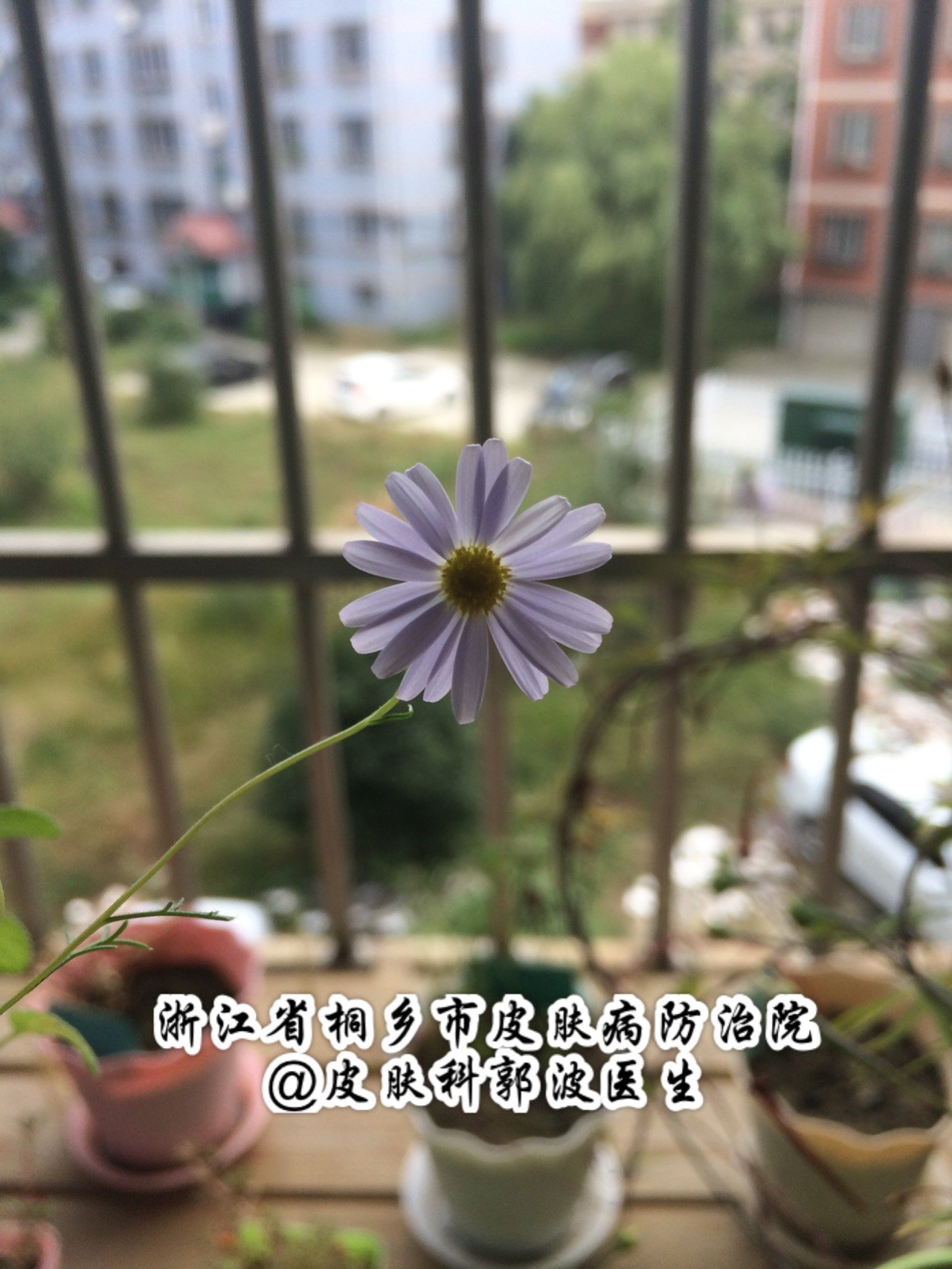 褐斑最好的消除方法,褐青色斑治疗经历