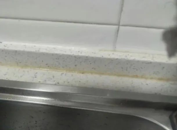 回南天霉菌感染,回南天霉菌怎么消