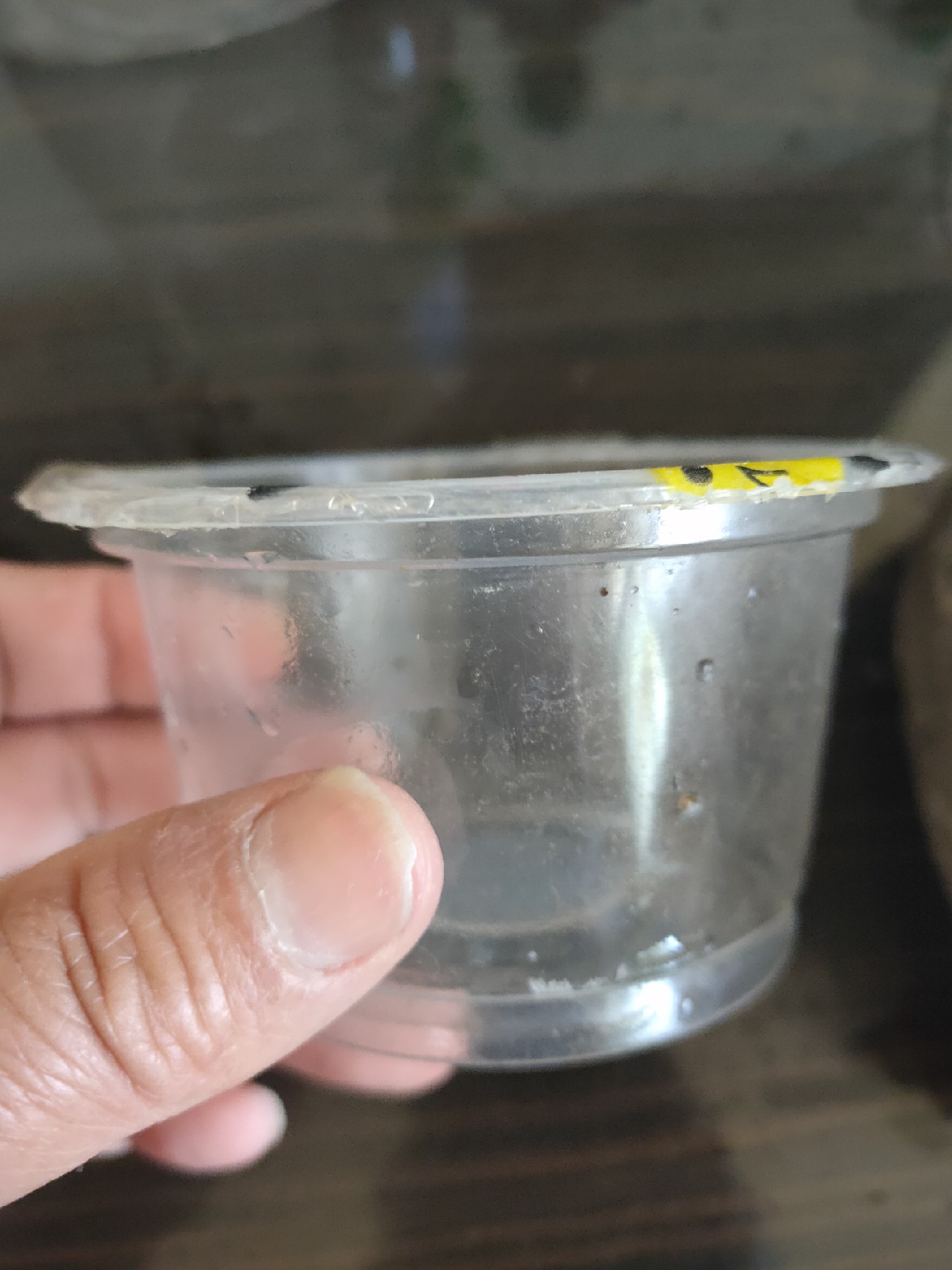 自制蚯蚓专用工具,自制红虫养殖器