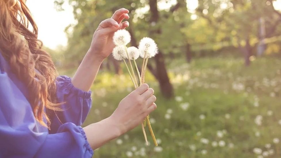 「学习」欢迎来到留学菌的法语小课堂