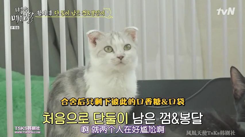 你喜欢的是他的容颜还是灵魂,你是爱她的皮囊还是灵魂