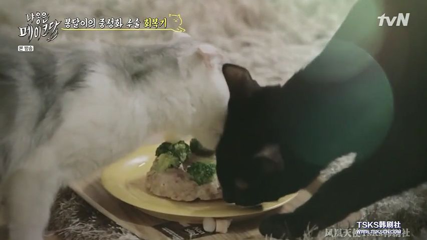 你喜欢的是他的容颜还是灵魂,你是爱她的皮囊还是灵魂