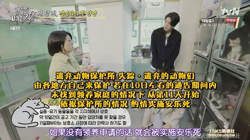 你喜欢的是他的容颜还是灵魂,你是爱她的皮囊还是灵魂