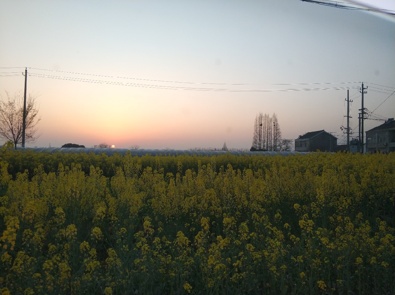 阳春三月秋高气爽,阳春三月太阳暖洋洋的