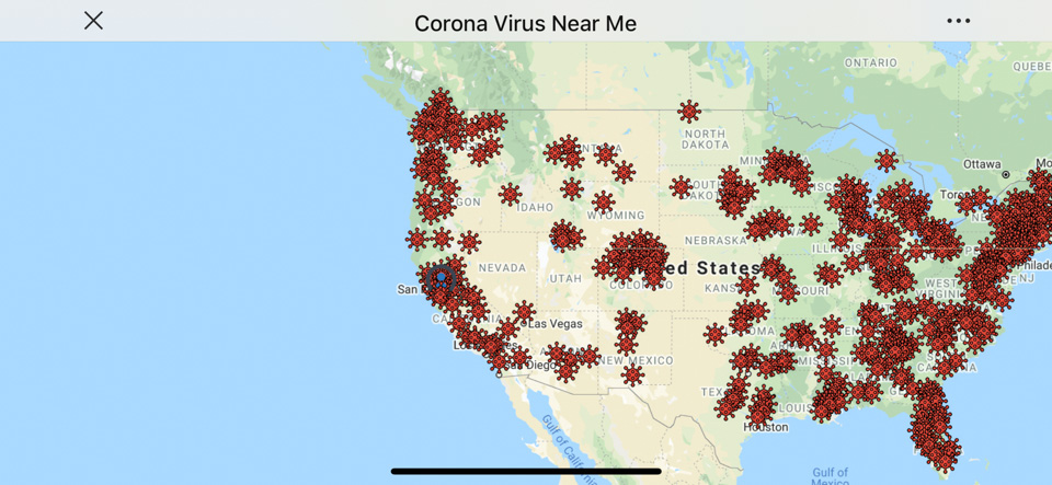 原只想静享加州*光春**，新冠疫情却要我们亲历历史