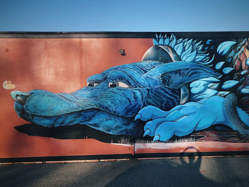 原只想静享加州*光春**，新冠疫情却要我们亲历历史