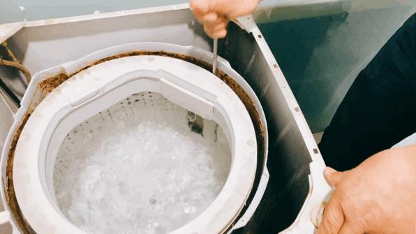 你绝对不知道洗衣机有多脏,你家的洗衣机原来这么脏