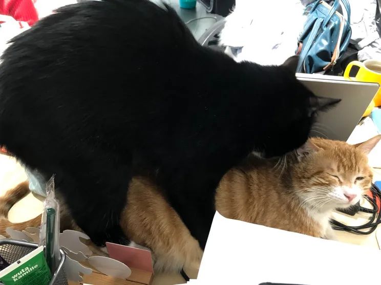 终于，我们也要出卖私生活了