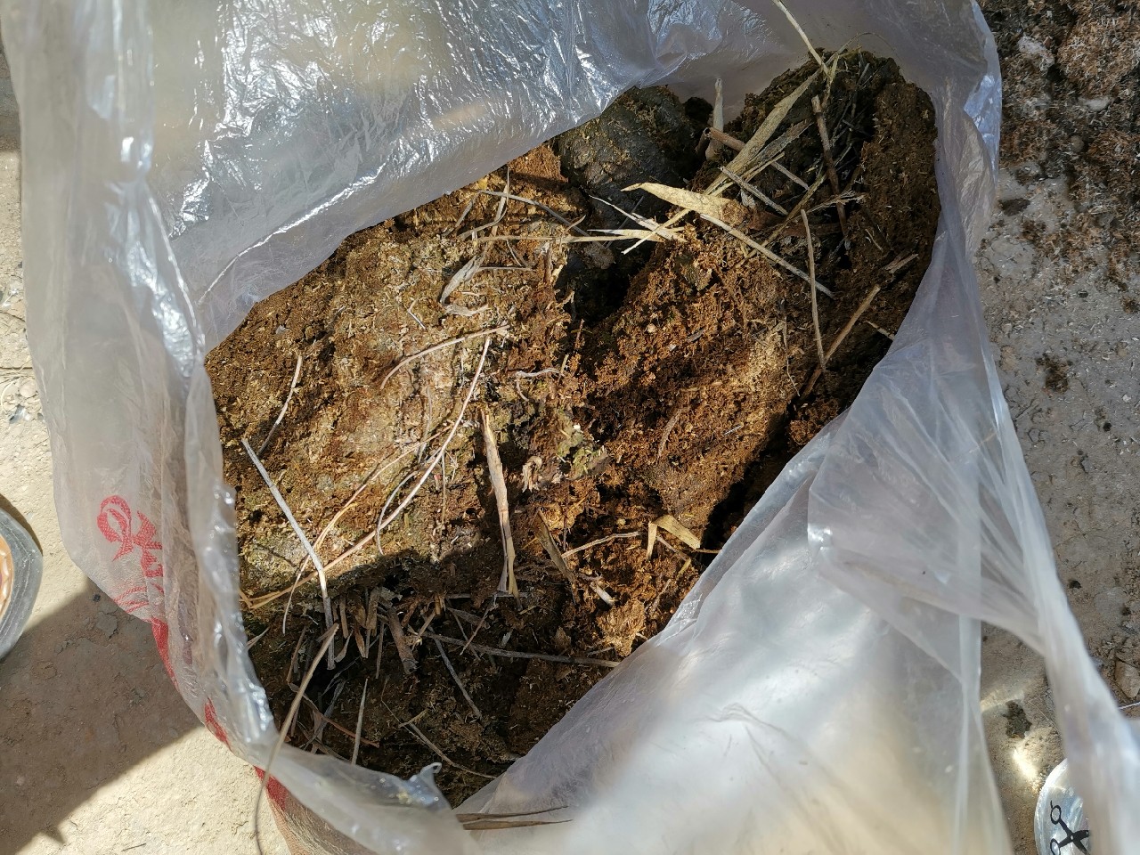 等待春暖鱼开口，先给蚯蚓安个家