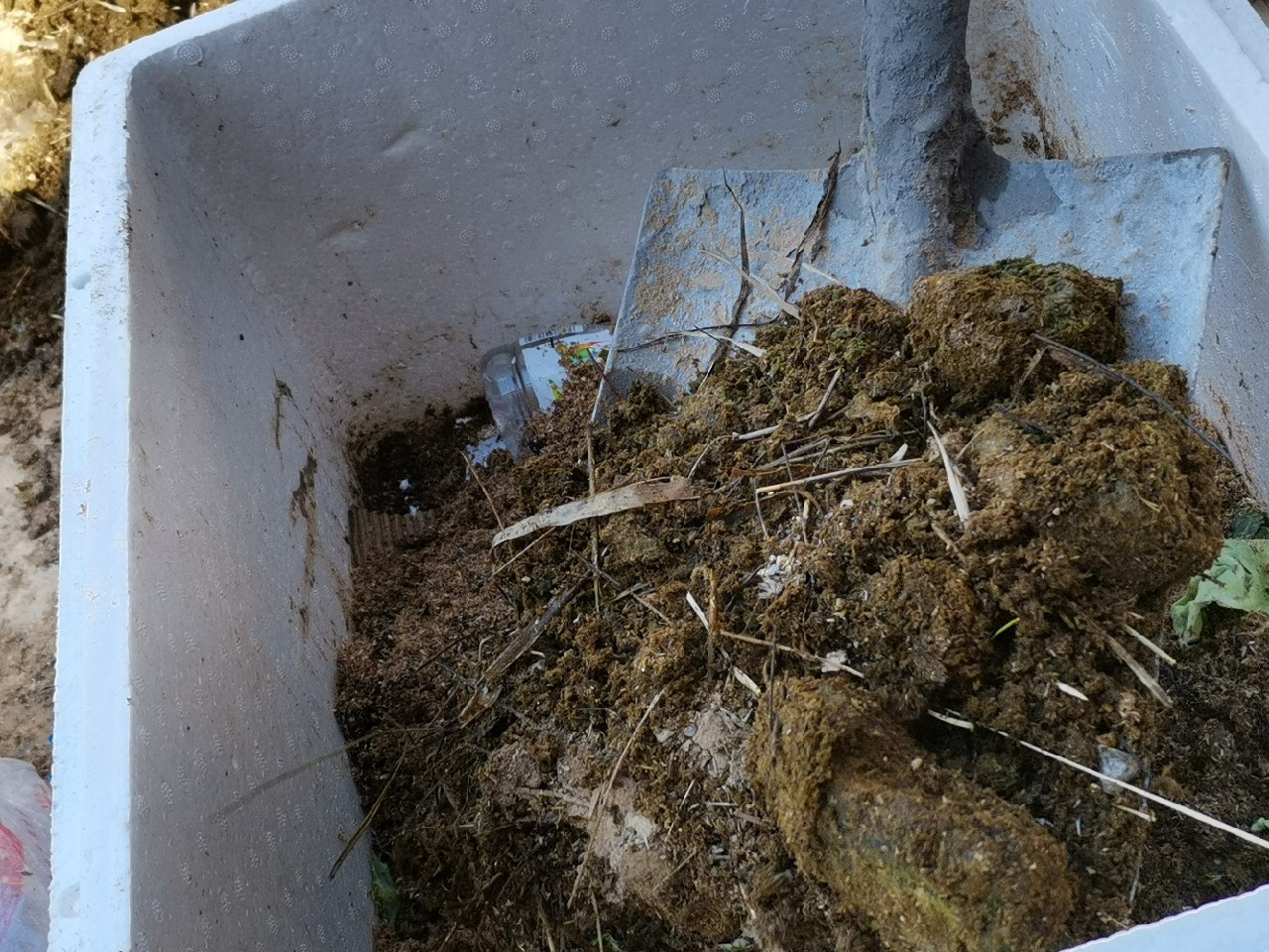 等待春暖鱼开口，先给蚯蚓安个家