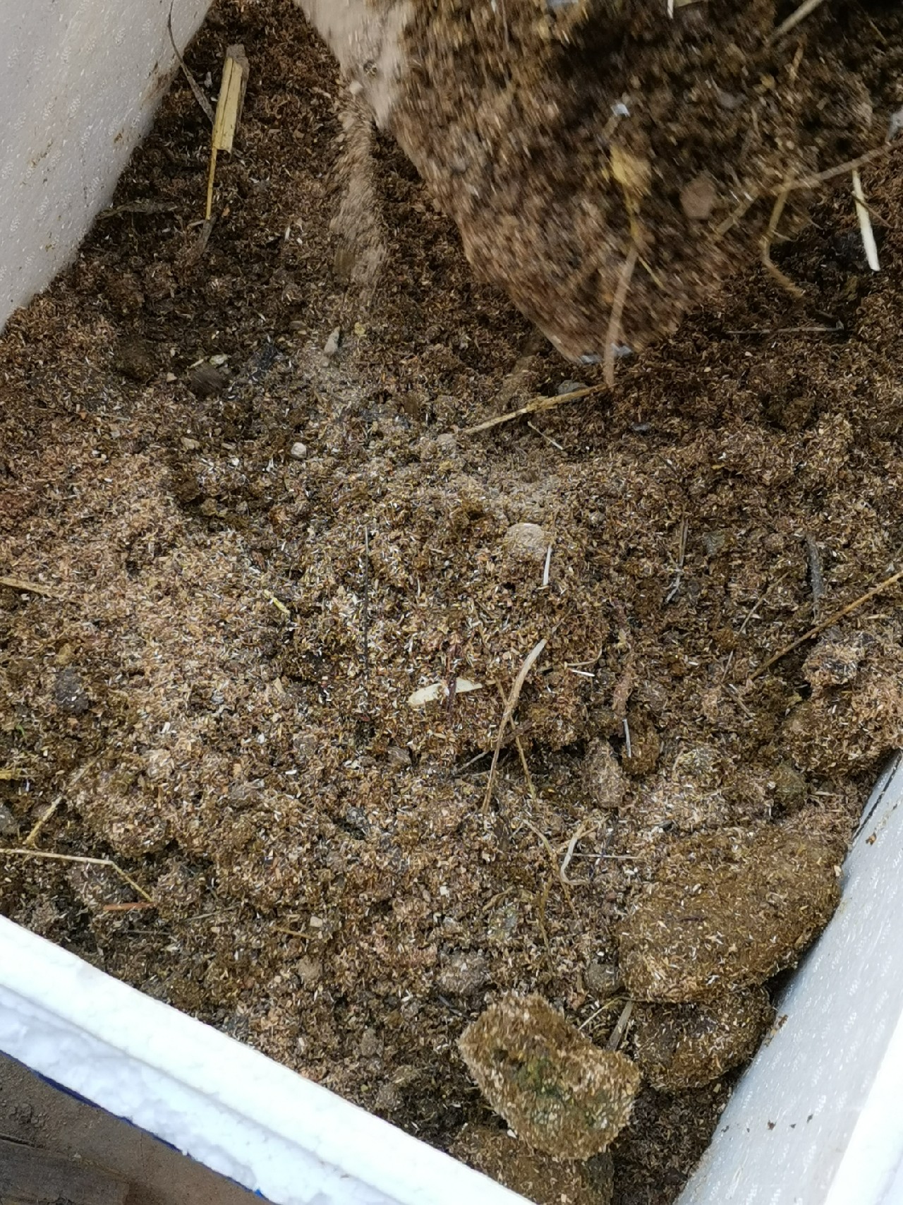 等待春暖鱼开口，先给蚯蚓安个家