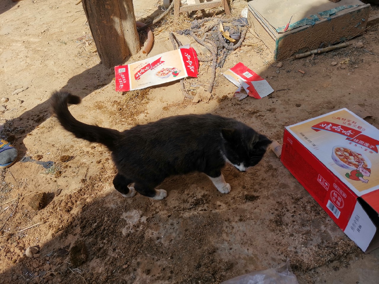 等待春暖鱼开口，先给蚯蚓安个家