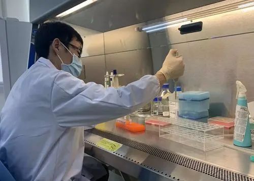降低“假阴性”出现概率病毒检测这把上海“尺子”是如何诞生的？